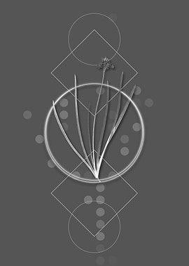 Vintage Spring Squill