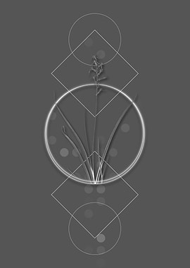 Geometric Modern Floral