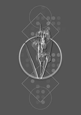 Vintage Geometric Flower