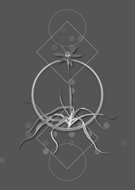 Geometric Modern Floral