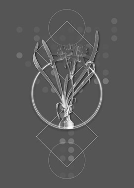 Vintage Sea Daffodil