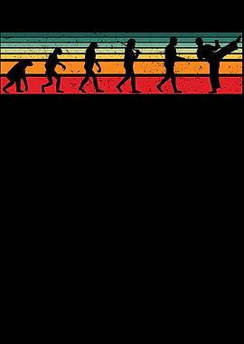 Karate Evolution