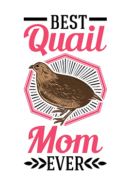Best Quail Mom Ever