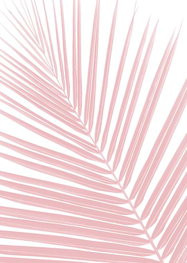 Blush Pink Palm Leaf 1