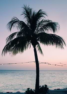Vivid Palm Tree Dream 3
