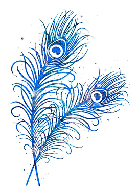 Peacock feather blue art