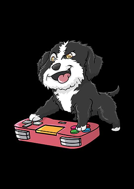 Portuguese Water Dog