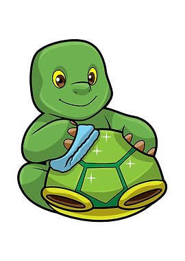 Turtle Shell Cleaning