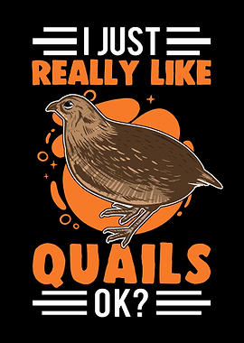 I Just Really Like Quails
