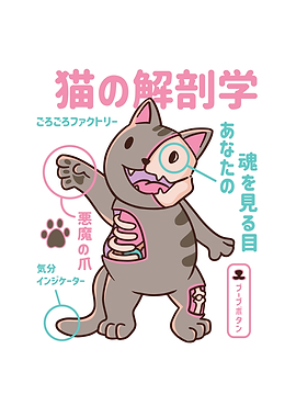 CAT ANATOMY JAPANESE