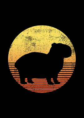 Capybara Vintage