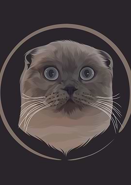 Scottish Fold