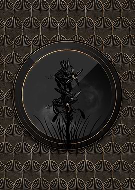 Black and Gold Asphodel