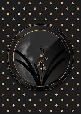 Gold Shadowy Boat Orchid