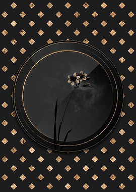 Shadowy Galaxia Ixiaeflora