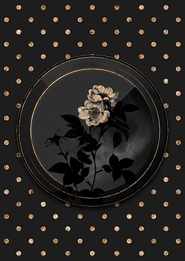 Black and Gold Anjou Roses