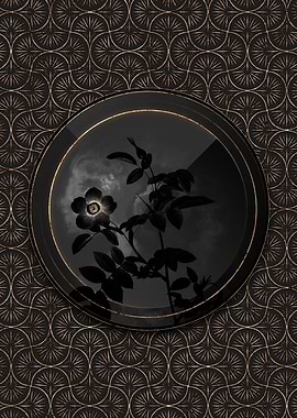 Shadow Black and Gold Rose