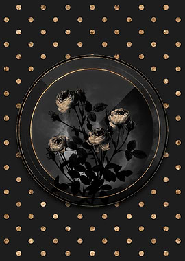 Shadowy Burgundian Rose