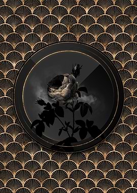 Shadowy Provence Rose