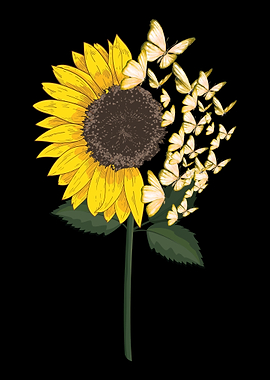 Butterfly Sunflower