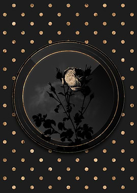 Black and Gold Shadow Rose