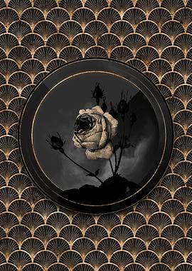 Black Shadowy Cabbage Rose