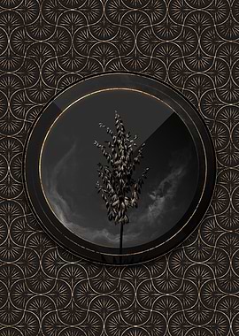 Shadowy Adams Needle