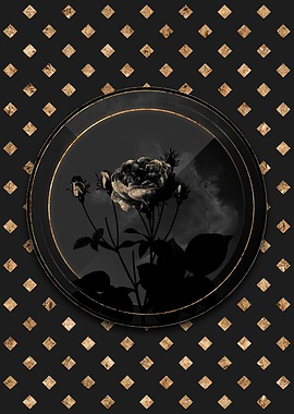 Shadow Black and Gold Rose