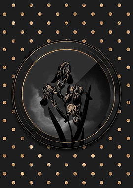 Shadowy Elder Scented Iris