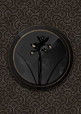 Black and Gold Iris Flower