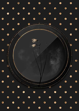 Black and Gold Snowbell