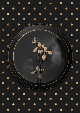 Gold Shadowy Siberian Iris