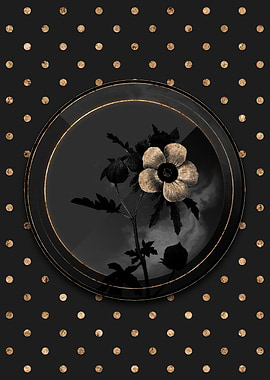 Shadowy Gold Venice Mallow