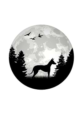 Podenco Moon Spanish