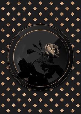 Shadow Black and Gold Rose
