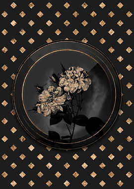 Black and Gold Damask Rose