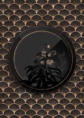 Shadowy Pleomele Botanical