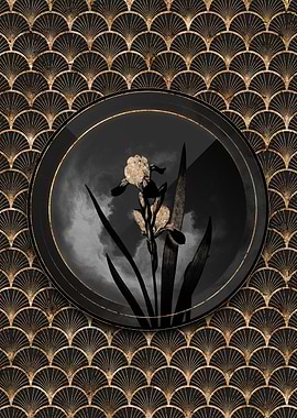 Shadow Black and Gold Iris