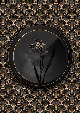 Shadowy Gladiolus Flower