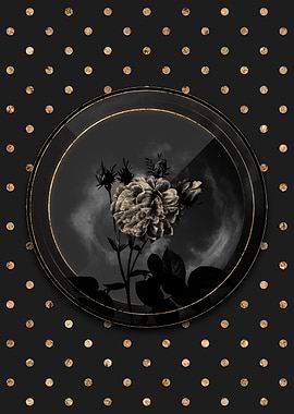 Shadow Black and Gold Rose