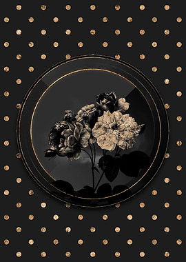 Shadow Black and Gold Rose