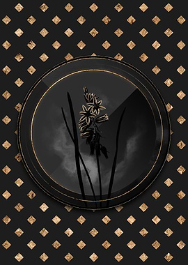 Shadowy Star of Bethlehem