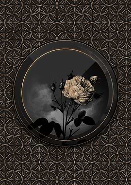 Shadow Gold Provence Rose