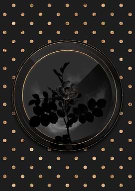 Shadow Black and Gold Rose