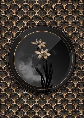 Shadowy Art Deco Gold Ixia