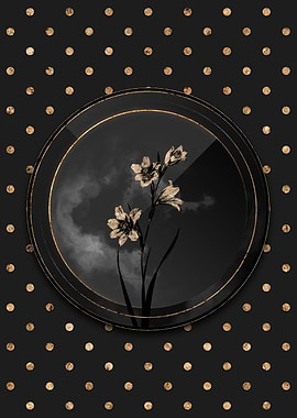 Black and Gold Lily Flower