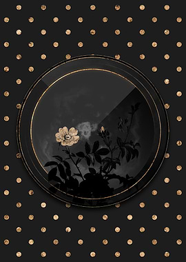 Black and Gold Downy Rose