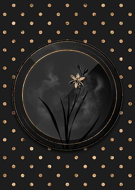 Shadowy Art Deco Gold Ixia