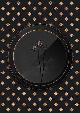 Black and Gold Blue Pipe