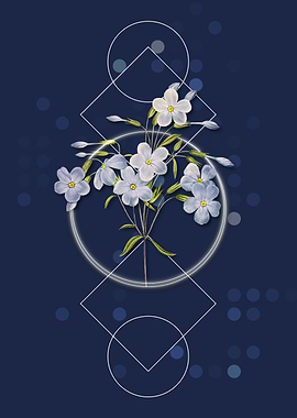 Vintage Phlox Flower